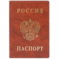 Фото товара - Обложка для паспорта ПВХ с тиснением коричневая 2203.В-104 ДПС