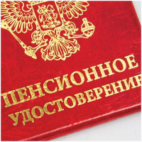 Маленькое фото товара - Обложка для пенсионного удостоверения ПВХ, тиснение золотом, ассорти 255450. Вариант №3