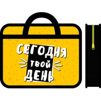 Фото товара - Папка пластиковая А4 на молнии с ручками 33х26х7,5 см ПМ-А4-25 "ЖИВИ ЯРКО" Пчелка