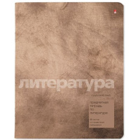 Фото товара - Тетрадь  48л "ЦВЕТ КАМНЯ/STONE COLOR" по литературе 7-48-1358/02 Альт