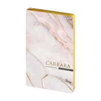 Маленькое фото товара - Ежедневник недатированный А5 256 стр. ЛАЙТ "Каррара/Carrara" 3-743/11 Bruno Visconti. Вариант №4