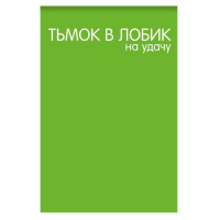 Фото товара - Блокнот А7 40л клетка "Тьмок в лобик на удачу" 65х98мм 77291 Centrum