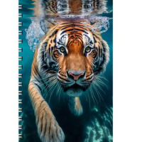 Фото товара - Тетрадь А4  80л линия на спирали "Тигр" ТС4805175 Listoff