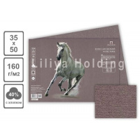 Фото товара - Бумага для пастели 35х50 см 10л 160г/м2 "Палаццо.Аshes" коричневый БРА/В3 Лилия Холдинг