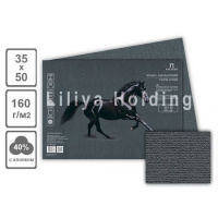 Фото товара - Бумага для пастели 35х50 см 10л 160г/м2 "Палаццо.Graphite" графит БРGH/В3 Лилия Холдинг