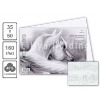 Фото товара - Бумага для пастели 35х50 см 10л 160г/м2 "Палаццо.Ice" белый лед БРI/В3 Лилия Холдинг