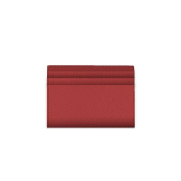 Фото товара - Чехол для пластиковых карт 100х80 мм "Клен. Красный"/Maple. Red" искусственная кожа, внутренний и внешние кармашки КК0539 Listoff