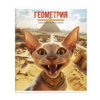 Фото товара - Тетрадь  48л "СЕЛФИ" по геометрии 69836 Феникс