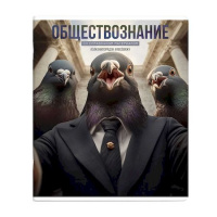 Фото товара - Тетрадь  48л "СЕЛФИ" по обществознанию 69848 Феникс