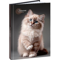 Фото товара - Записная книжка А5 160л "КРАСИВЫЙ КОТ - 1" глянц.лам.,лен 160-9424 Проф-Пресс