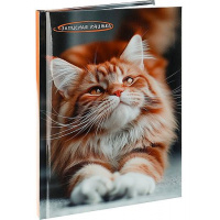 Фото товара - Записная книжка А5 80л "ФОТО КОТИКА" глянц.лам. 80-9071 Проф-Пресс