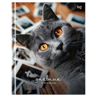 Фото товара - Дневник для старших классов (твердая обложка) "Барсик" (386456) 62133 BG
