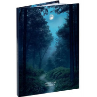 Фото товара - Записная книжка А6  96л клетка "ЛУННЫЕ ПЕЙЗАЖИ - 1" ЗК96-0082 Проф-Пресс