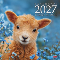 Фото товара - Календарь перекидной настенный 2027 г. 30х30 см Стандарт  "Символ года овечки"  12Кнп4_36891 (096162) Хатбер