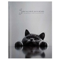 Фото товара - Записная книжка 120х150 мм 80л "БРИТАНСКИЙ КОТ" с алфавитной вырубкой 74404 Феникс