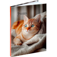 Фото товара - Записная книжка А6 64л "ФОТО КОТИКА - 2"  64-9088 Проф-Пресс