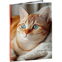 Фото товара - Записная книжка А6  48л клетка "УЮТНЫЕ КОТИКИ - 3" 48-9513 Проф-Пресс